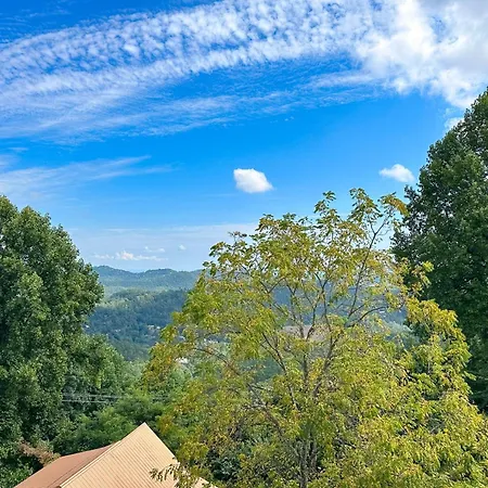 Little Black Bear Retreat